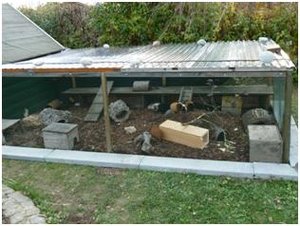 meerligehege3.jpg meerligehege3.jpg