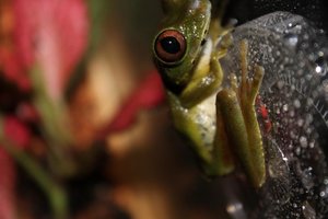 IMG_0104.jpg IMG_0104.jpg