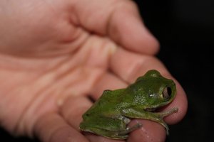 IMG_0272.jpg IMG_0272.jpg