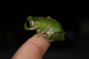 IMG_0281.jpg IMG_0281.jpg