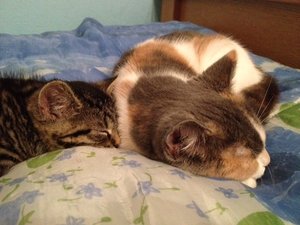 Foto(10).JPG Foto(10).JPG