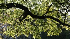 2012-01-05 Licht.JPG