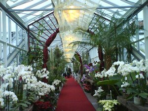 2012-01-05 Lichtdeko.JPG