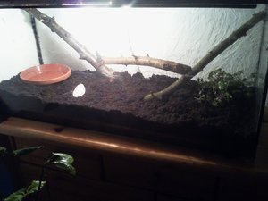 2012-01-05 16.48.09.jpg