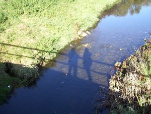 Allgemein 2011 062 (640x482).jpg