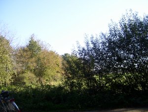 Allgemein 2011 080 (640x482).jpg