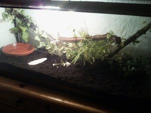 2012-01-05 20.21.17.jpg