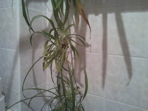 2012-01-05 20.21.35.jpg