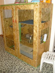 CIMG6196 (Klein).JPG