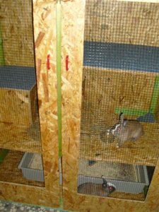 CIMG6197 (Klein).JPG