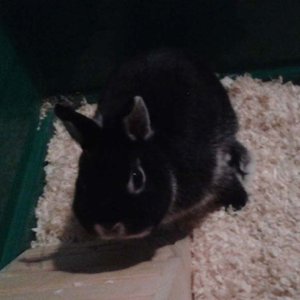 Unbenannt-1 Kopie.jpg