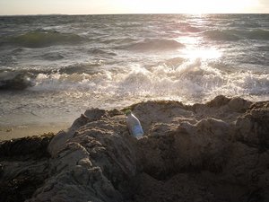 SDC10060 - Kopie.JPG