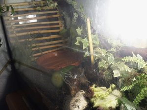 2012-01-07 19.55.24.jpg