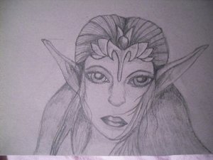 SDC11946 - Kopie.JPG