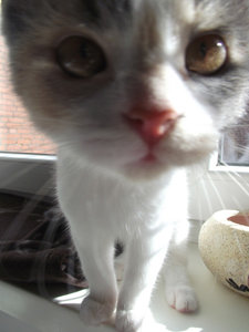 was_guckst_du.jpg was_guckst_du.jpg