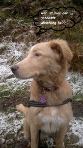 31122011235 (575x1024) (449x800) (359x640).jpg