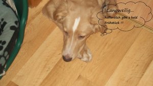 100_0769 (2) (1024x576).jpg