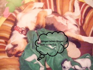 102_3608 (640x482).jpg