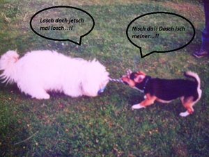 102_3601 (640x482) (2).jpg