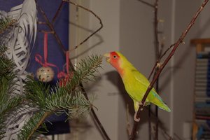 IMGP4458.JPG IMGP4458.JPG