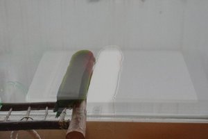 IMGP4190.JPG IMGP4190.JPG