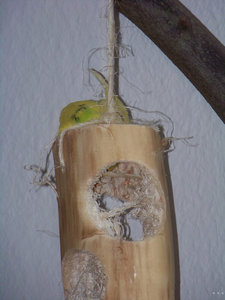 1004097a.jpg 1004097a.jpg