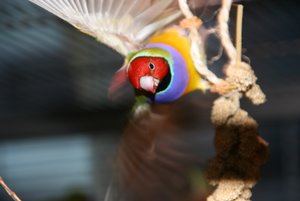 005web.jpg 005web.jpg