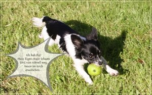 20.08 (8).JPG 20.08 (8).JPG