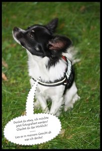 IMG_2971.JPG IMG_2971.JPG