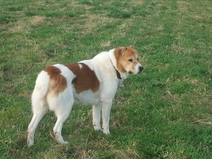 2011-11-05 08.45.04.jpg