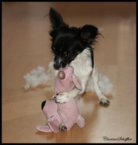 IMG_3025.JPG IMG_3025.JPG