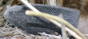 IMG_1458web.jpg IMG_1458web.jpg