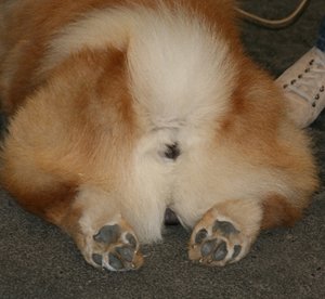 IMG_2528web1.jpg IMG_2528web1.jpg