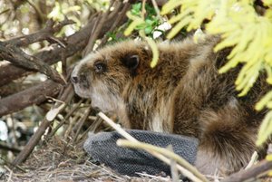 IMG_1458web1.jpg IMG_1458web1.jpg