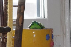 IMGP2067.JPG IMGP2067.JPG