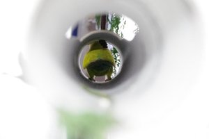 IMGP2571.JPG IMGP2571.JPG