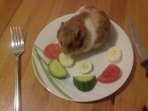 es darf gegessen werden .jpg