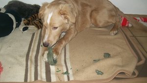 100_0802.JPG 100_0802.JPG