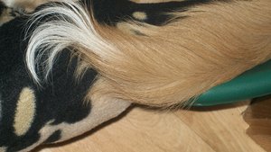 100_0819.JPG 100_0819.JPG