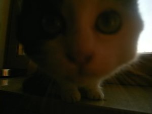 P1150174.JPG P1150174.JPG