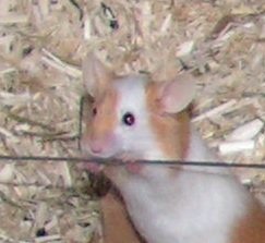 9cdb5eafaf46b98b200478b22c31c109.jpg 9cdb5eafaf46b98b200478b22c31c109.jpg