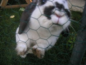 k-PICT7221.JPG k-PICT7221.JPG