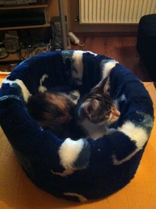 IMG_0555 - Kopie.JPG