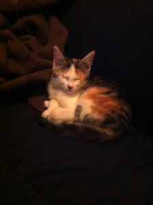 IMG_0552 - Kopie.JPG