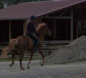 P8102511 (2) (640x575).jpg P8102511 (2) (640x575).jpg