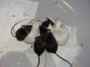 SAM_0665.jpg SAM_0665.jpg