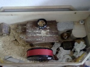 neues haus.jpg neues haus.jpg