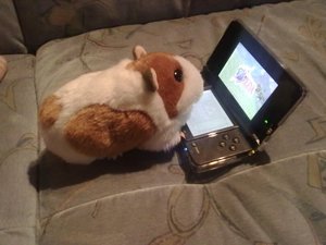 trudi mit 3DS.jpg trudi mit 3DS.jpg