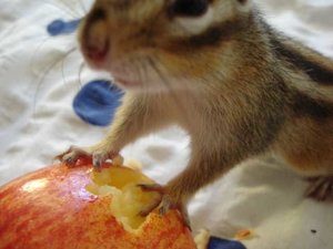 K640_DSC05925.JPG K640_DSC05925.JPG