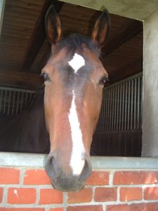 bild266f526d.jpg bild266f526d.jpg